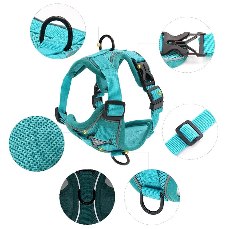 No Pull Dog Harness and Leash Set Adjustable 0 My Store 