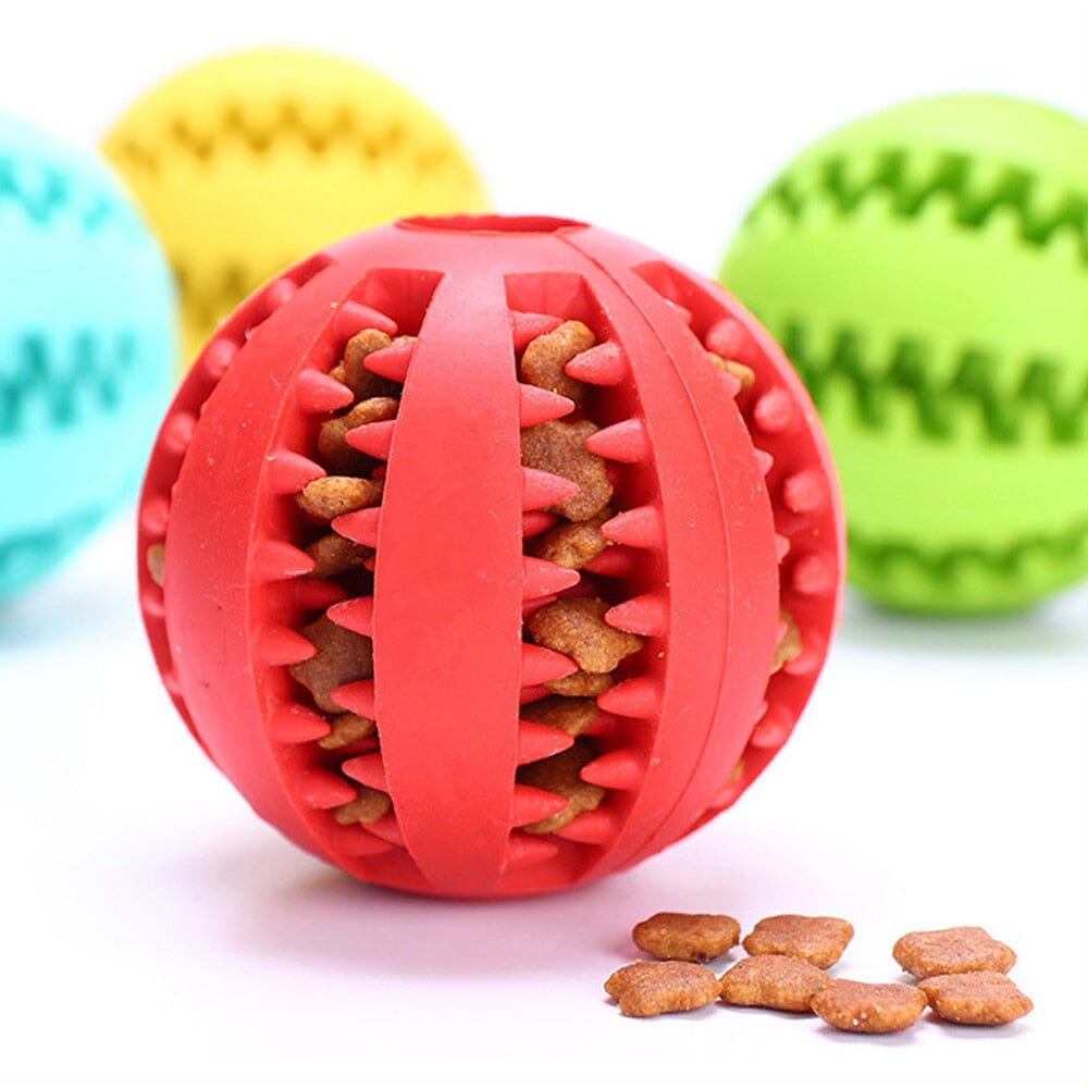 Pet Dog Toy Interactive Rubber Balls Chewing Toys 0 My Store 