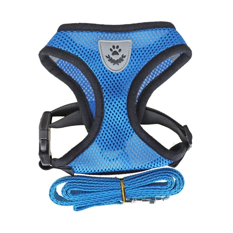Pet Harness Adjustable Mesh Vest Walking Lead Leash 0 My Store blue S(1.5-2.5kg) 