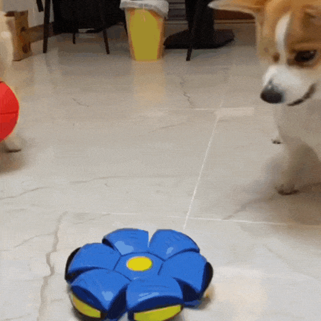 The Flying Saucer Ball™ 2.0 [Free Today] PuppyStop 